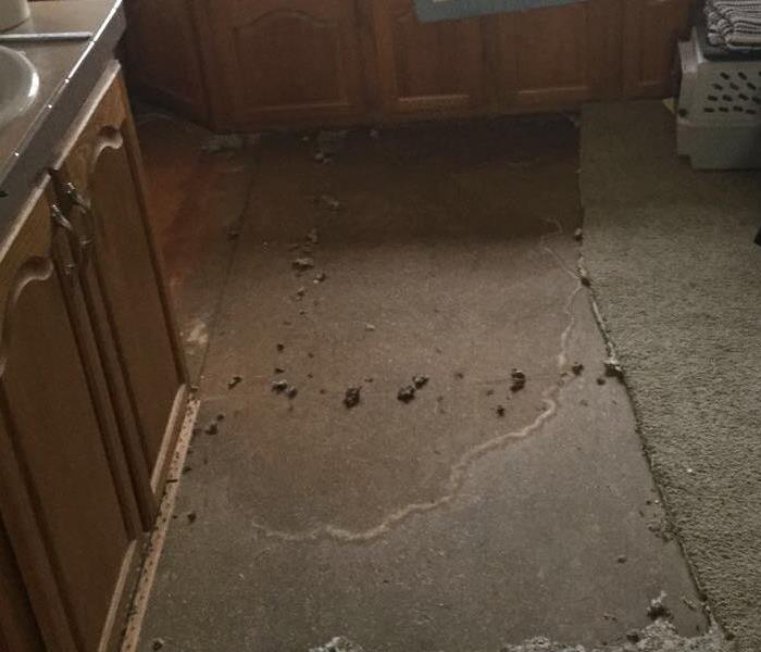 Powder Room After Carpet was Removed