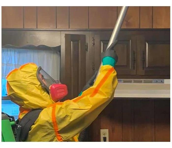 Mold Cleaning