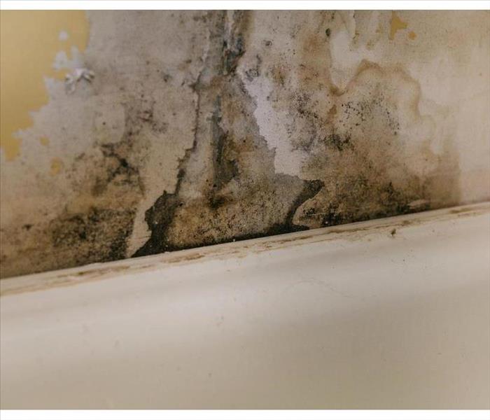Mold growth on a wall due to humidity